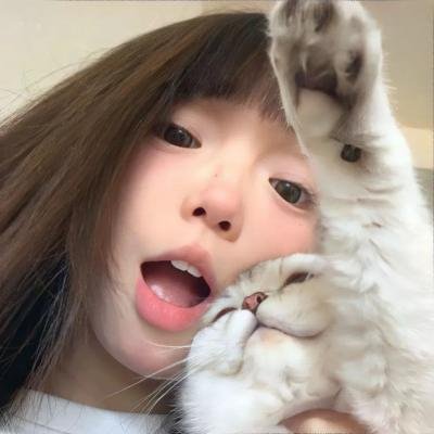 新恋爱经